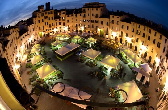 Transfer to Portofino Coast with Stops in Lucca and Pietrasanta