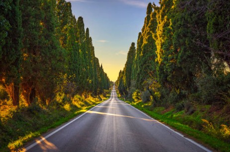 Bolgheri & Castagneto Carducci Experience — A Day of Wine, Beauty, and Tuscan Life