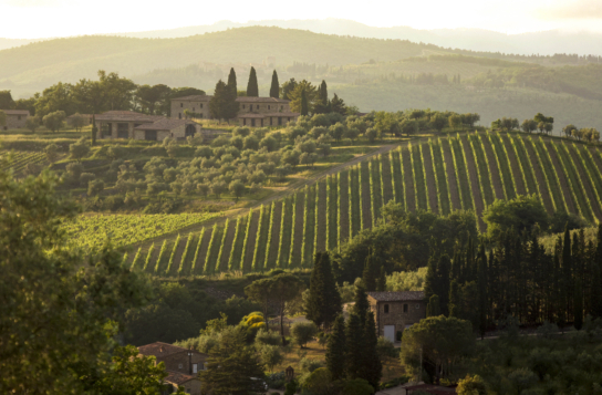 Transfer to Sorrento with Stops at Mount Vesuvius and Wine Tasting