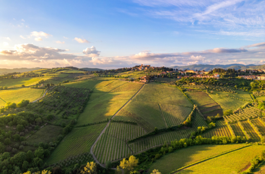 The Ultimate Chianti Experience — Wine, Food, and the Soul of Tuscany