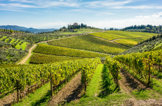 The Ultimate Chianti Experience — Wine, Food, and the Soul of Tuscany
