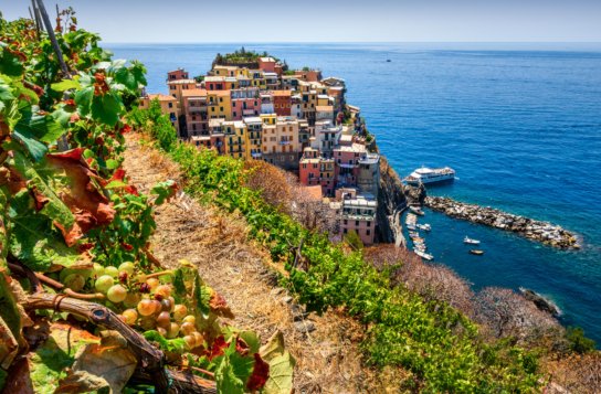 Transfer to Cinque Terre with a Stop in Pietrasanta