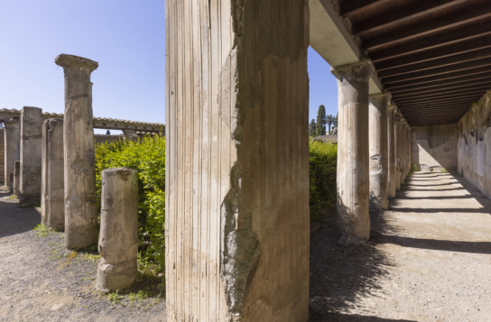 Herculaneum Half-Day Tour with an Archaeologist