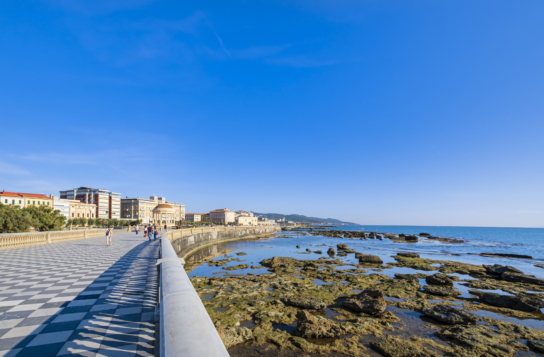 Transfer to Livorno with a Stop in Chianti Area