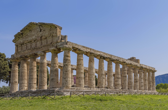 Paestum & Buffalo Mozzarella Farm Experience