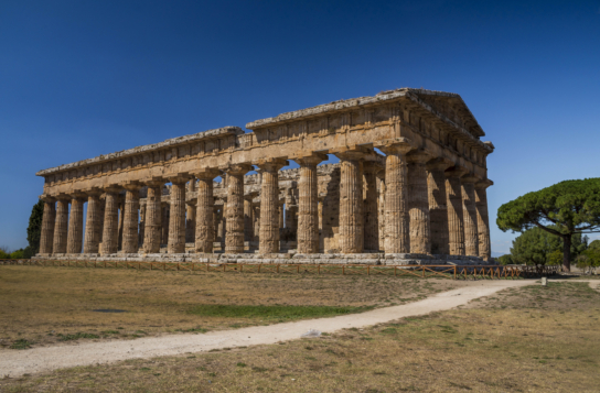 Paestum & Buffalo Mozzarella Farm Experience