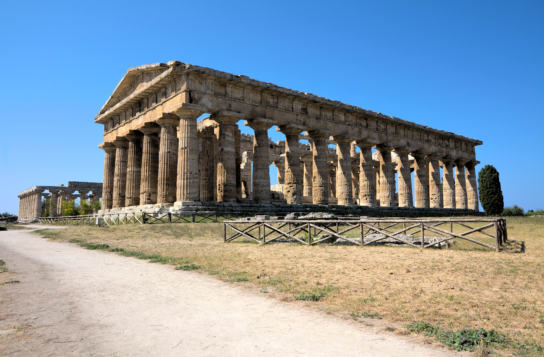 Paestum & Buffalo Mozzarella Farm Experience