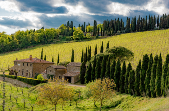 Panorama of green chianti hills in tuscany italy in spring, land of red wine and cypresses