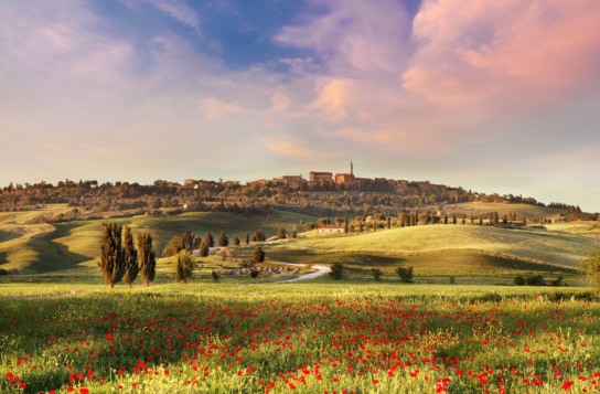 Transfer to Orvieto with Stops in Montepulciano and Pienza
