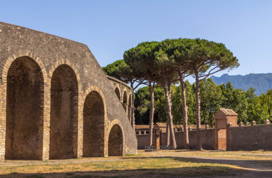 Pompeii & Herculaneum Archaeological Discovery