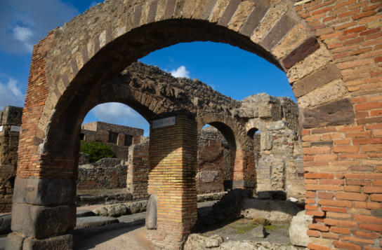 Pompeii, Herculaneum & Mount Vesuvius Wine Tasting with Lunch
