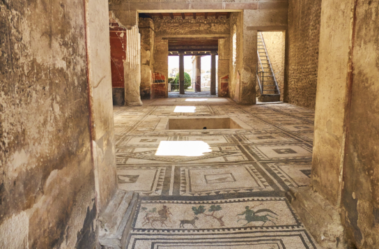 Pompeii, Herculaneum & Mount Vesuvius Wine Tasting with Lunch