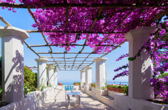 Full-Day Herculaneum & the Amalfi Coast: Amalfi and Ravello