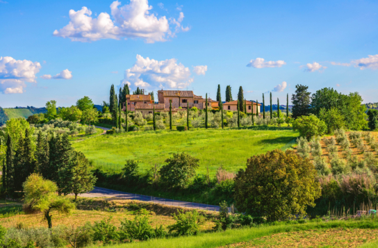 Transfer to Livorno with Stops in Siena and San Gimignano