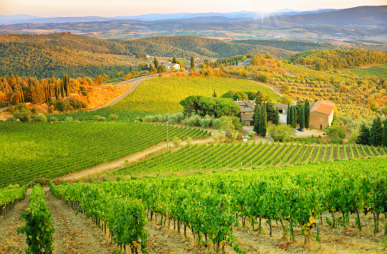 Siena & San Gimignano Experience — History, Food, and the Heart of Tuscany